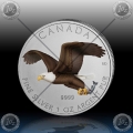 1oz KANADA $5 Birds of Prey "BALD EAGLE" 2014 - BARVNI 1oz KANADA $5 Birds of Prey "BALD EAGLE" 2014 - BARVNI